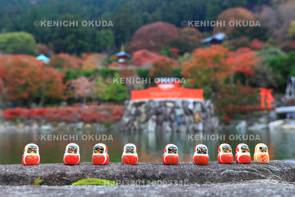 大阪府　紅葉の勝尾寺　勝ちダルマ