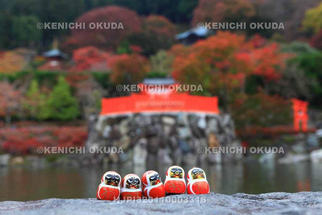 大阪府　紅葉の勝尾寺　勝ちダルマ