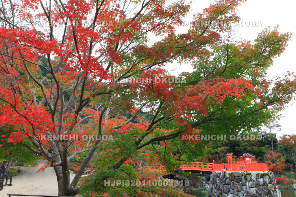 大阪府　紅葉の勝尾寺