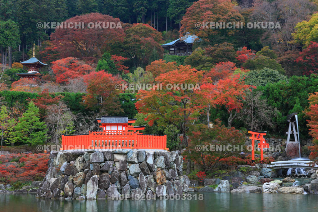 大阪府　紅葉の勝尾寺