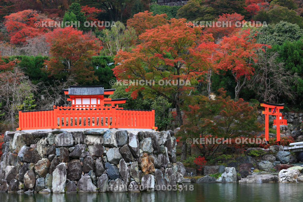 大阪府　紅葉の勝尾寺