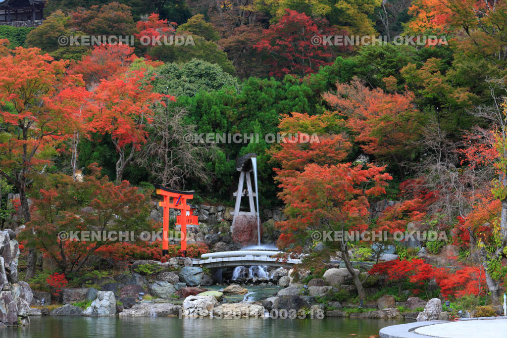 大阪府　紅葉の勝尾寺