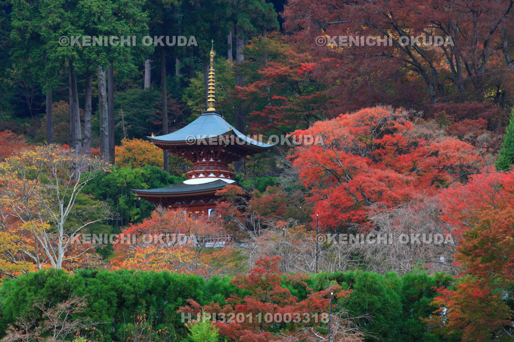 大阪府　紅葉の勝尾寺　多宝塔