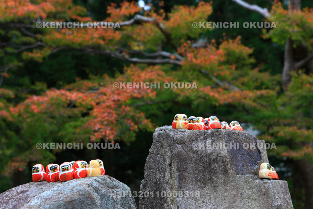 大阪府　紅葉の勝尾寺　勝ちダルマ