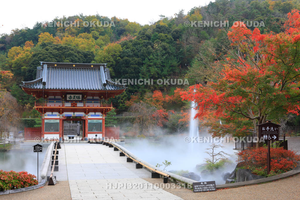 大阪府 紅葉の勝尾寺 山門