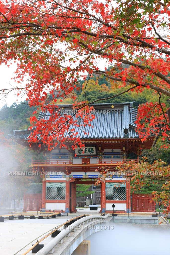 大阪府　紅葉の勝尾寺　山門
