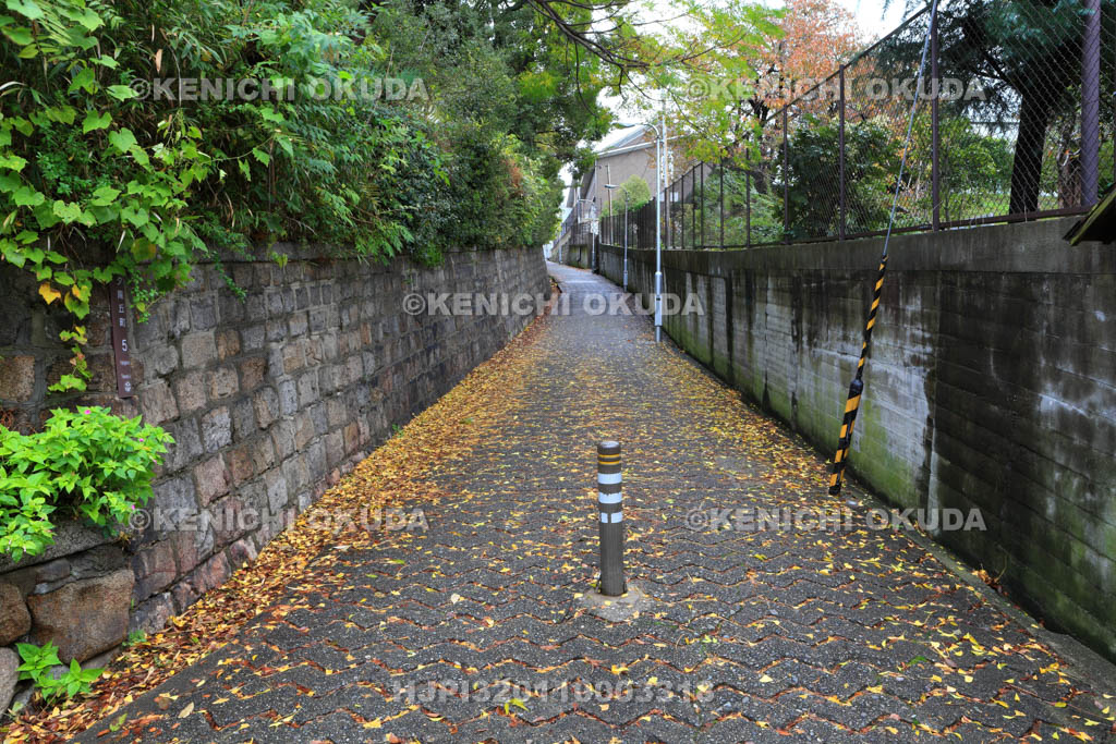 大阪府　愛染坂