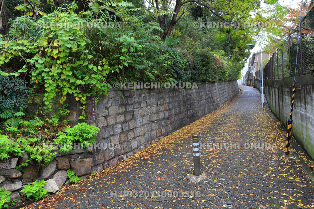 大阪府　愛染坂