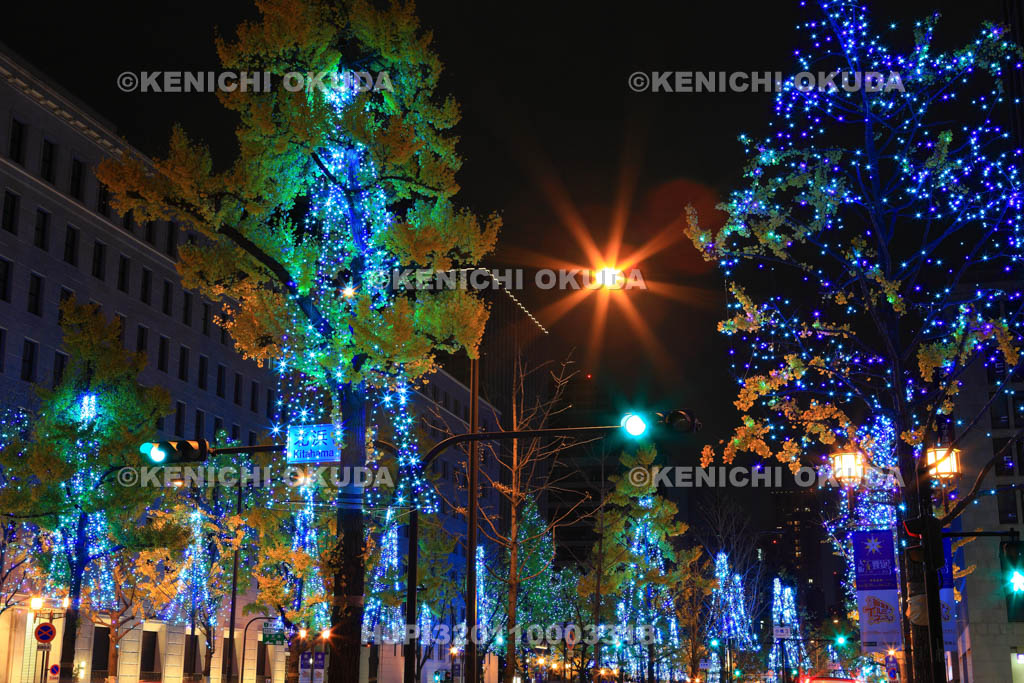 大阪府　御堂筋のイルミネーション