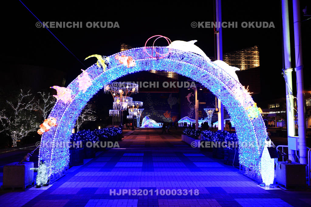 大阪府　海遊館のイルミネーション