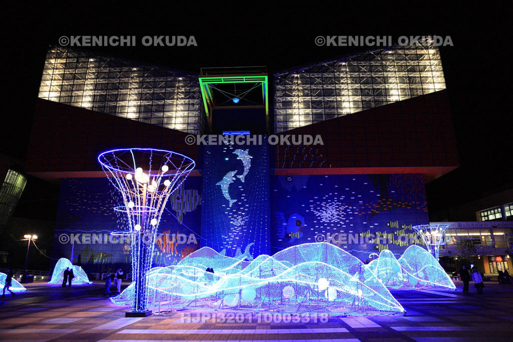 大阪府　海遊館のイルミネーション
