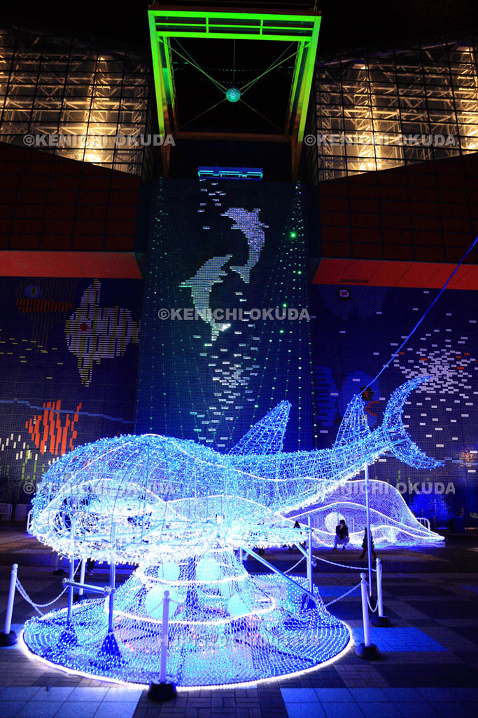 大阪府　海遊館のイルミネーション
