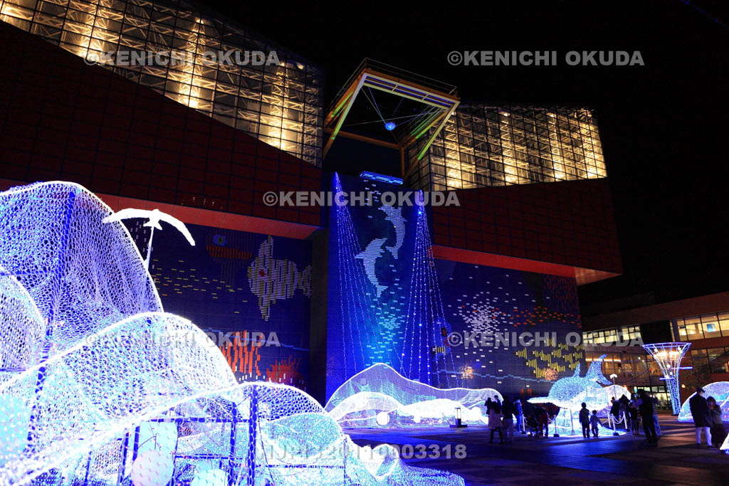 大阪府　海遊館のイルミネーション
