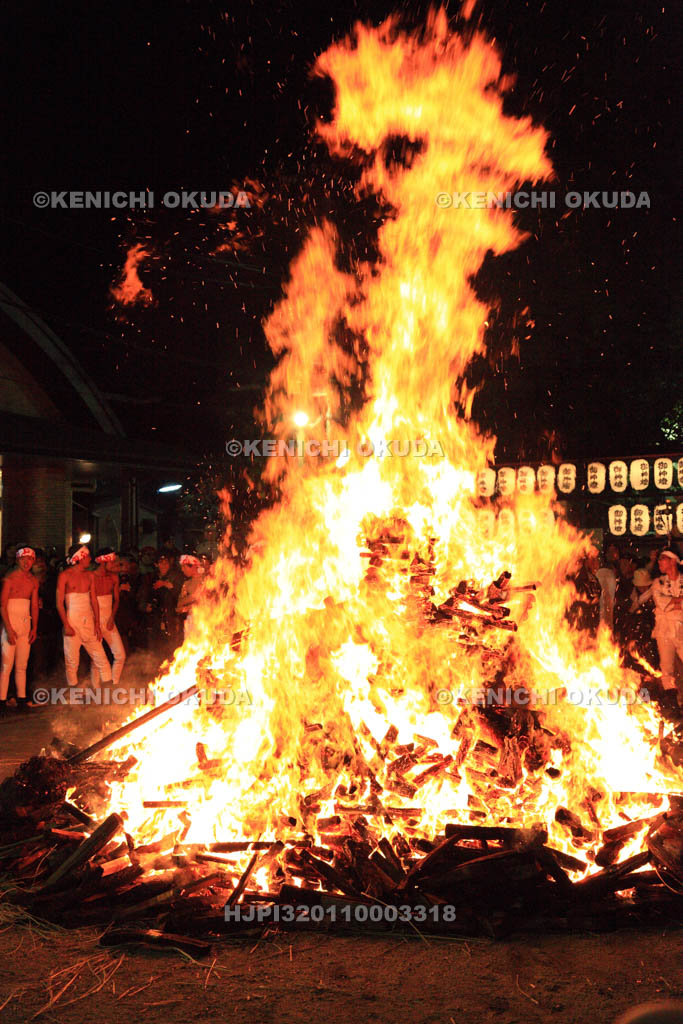 大阪府　石津太神社　やっさいほっさい祭
