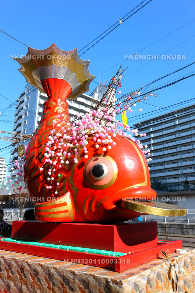 大阪府　宝恵駕行列　鯛の福みこし