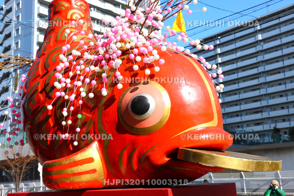 大阪府　宝恵駕行列　鯛の福みこし