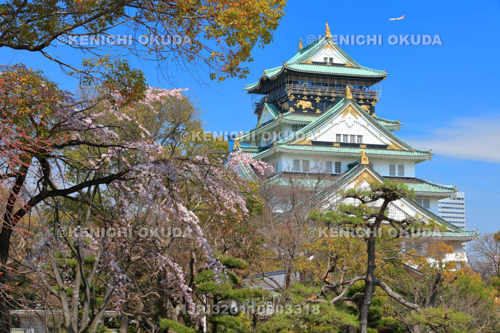 大阪府　大阪城天守閣