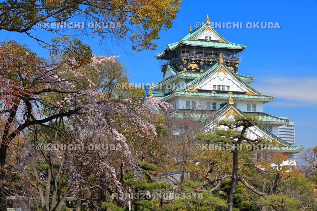 大阪府　大阪城天守閣