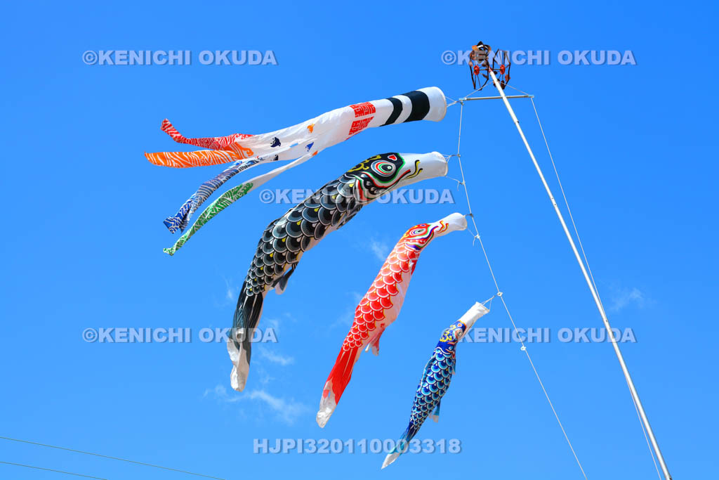 大阪府　青空と鯉のぼり