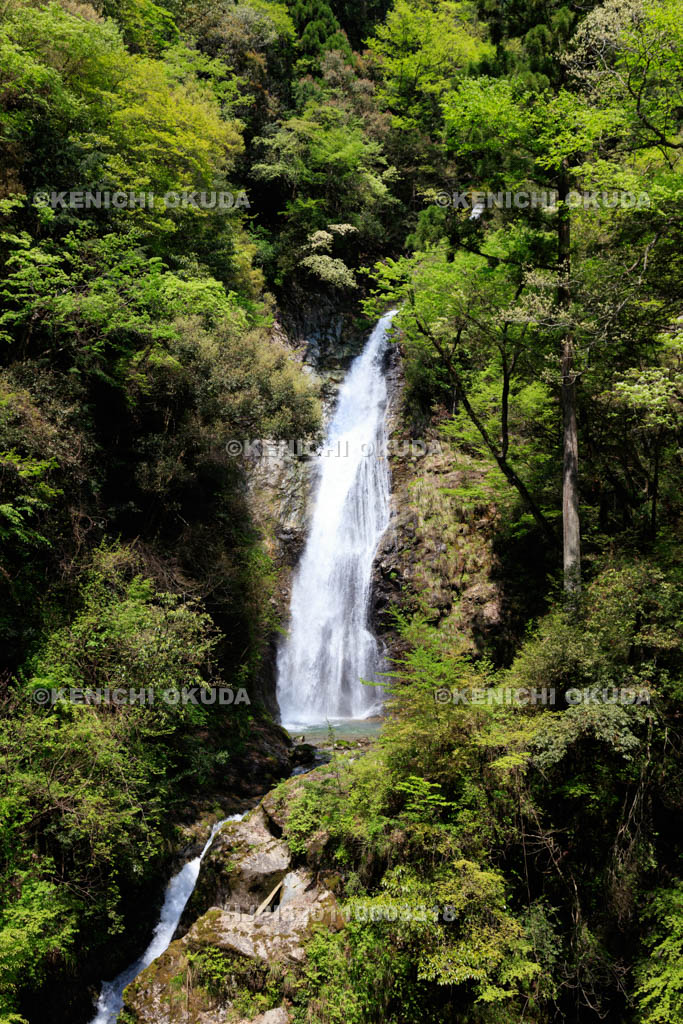 兵庫県　原不動滝