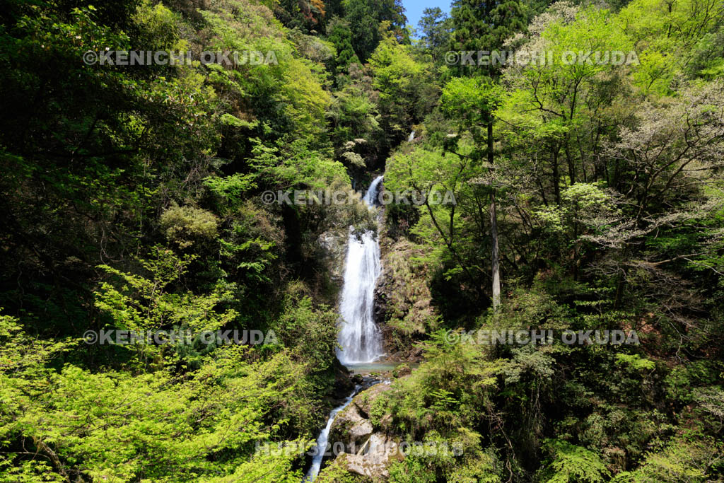 兵庫県　原不動滝
