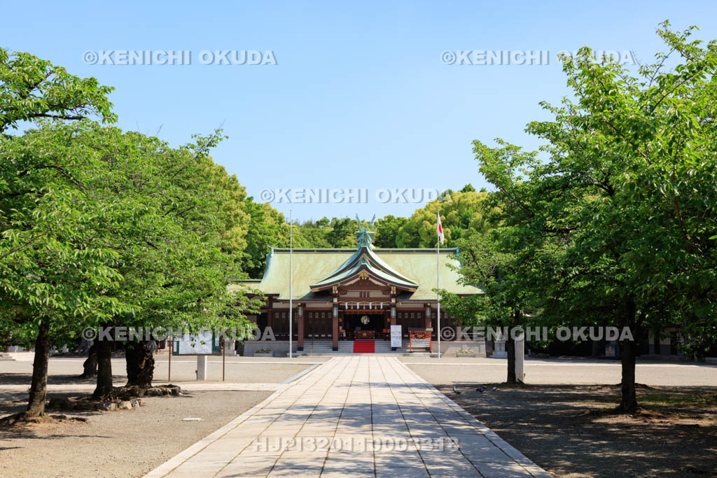 大阪府　大阪護国神社　参道と拝殿