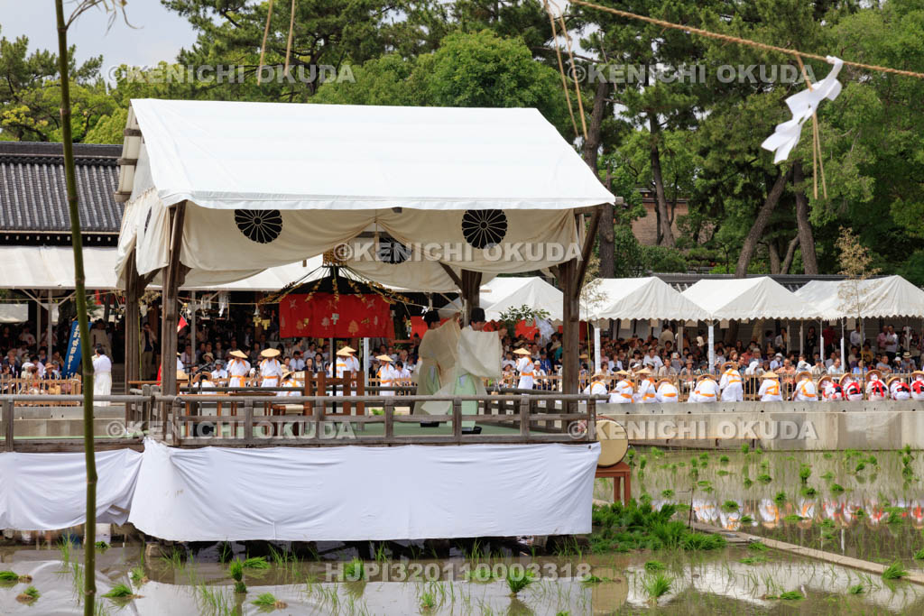 大阪府　住吉大社　御田植神事