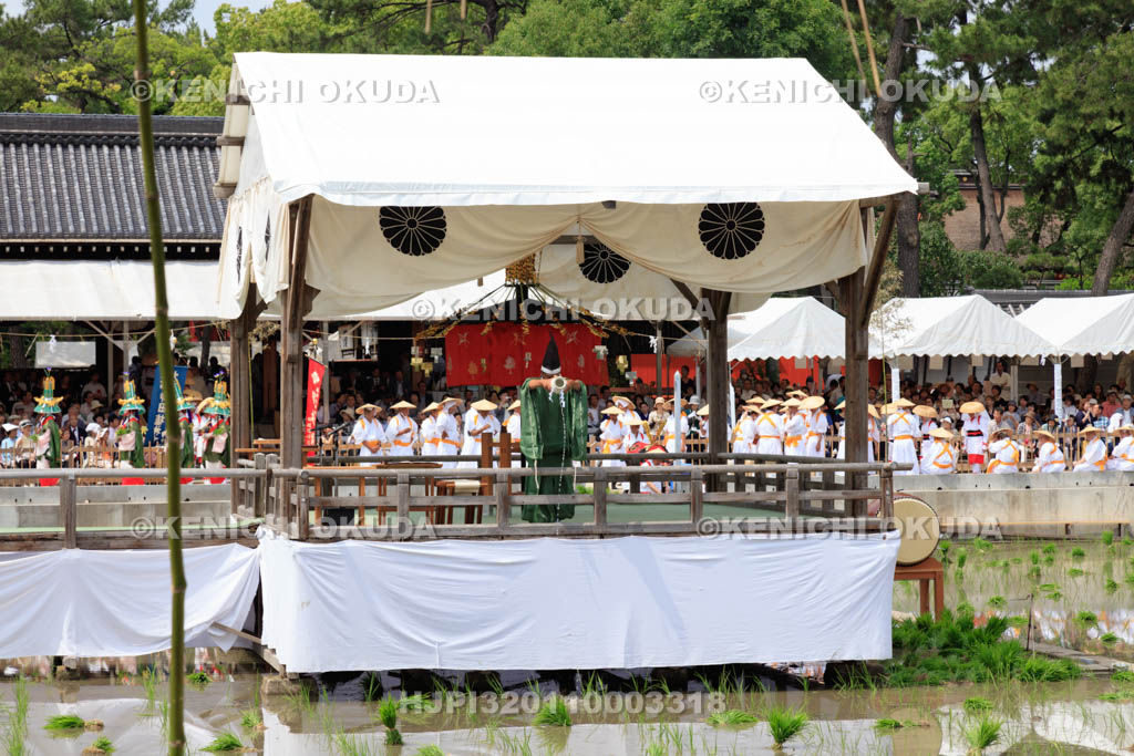 大阪府　住吉大社　御田植神事の大田主