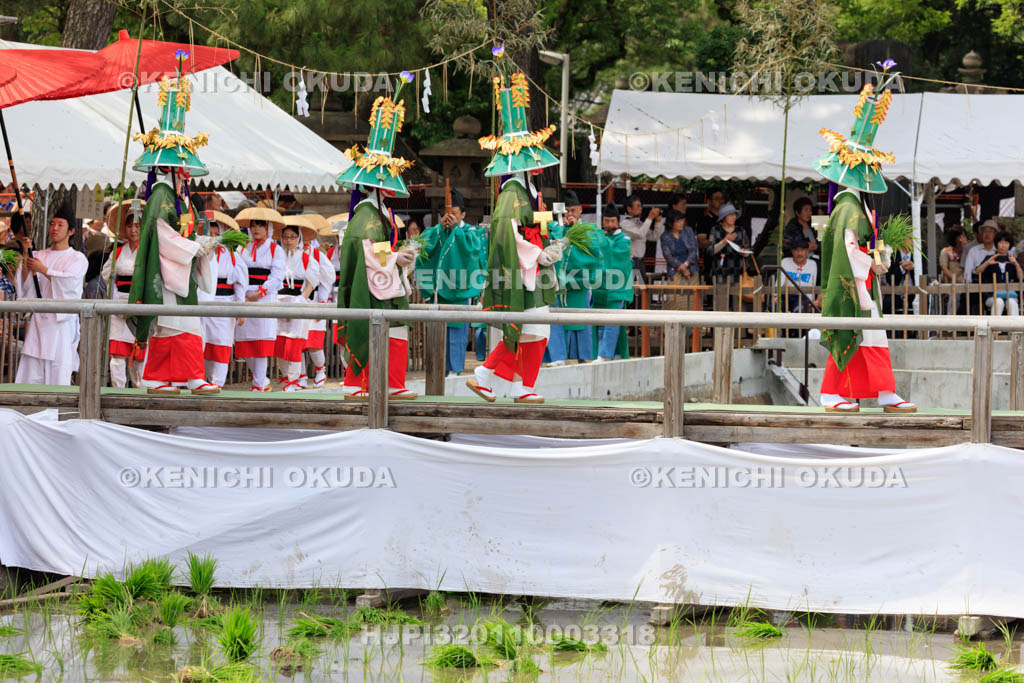 大阪府　住吉大社　御田植神事の植女