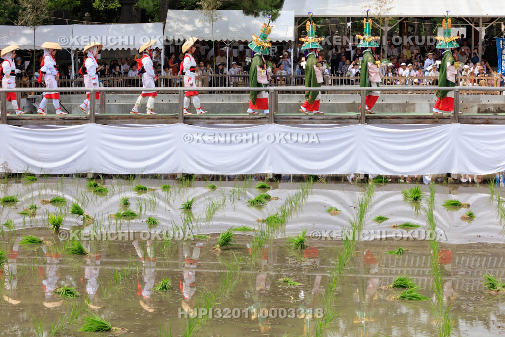 大阪府　住吉大社　御田植神事