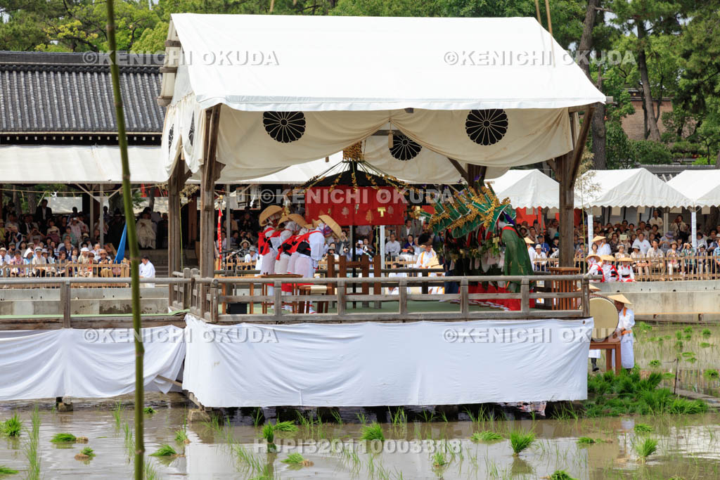 大阪府　住吉大社　御田植神事
