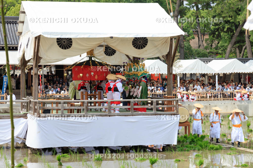 大阪府　住吉大社　御田植神事