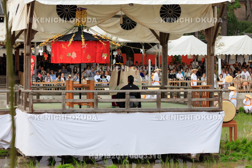 大阪府　住吉大社　御田植神事の神田代舞