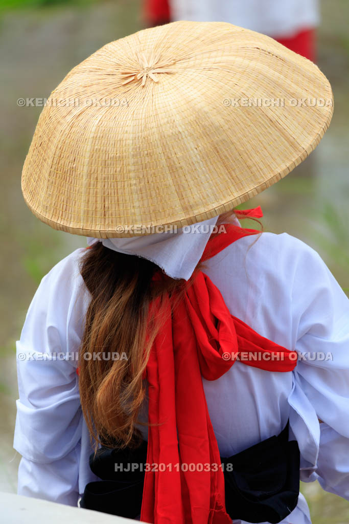 大阪府　住吉大社　御田植神事の替植女