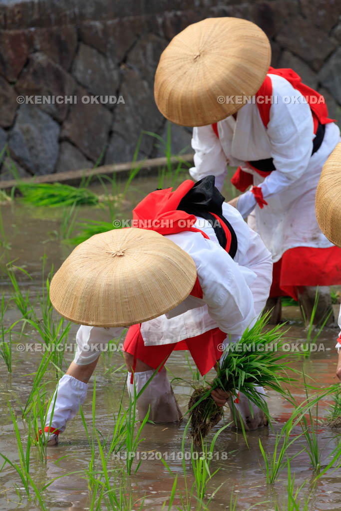 大阪府　住吉大社　御田植神事の替植女