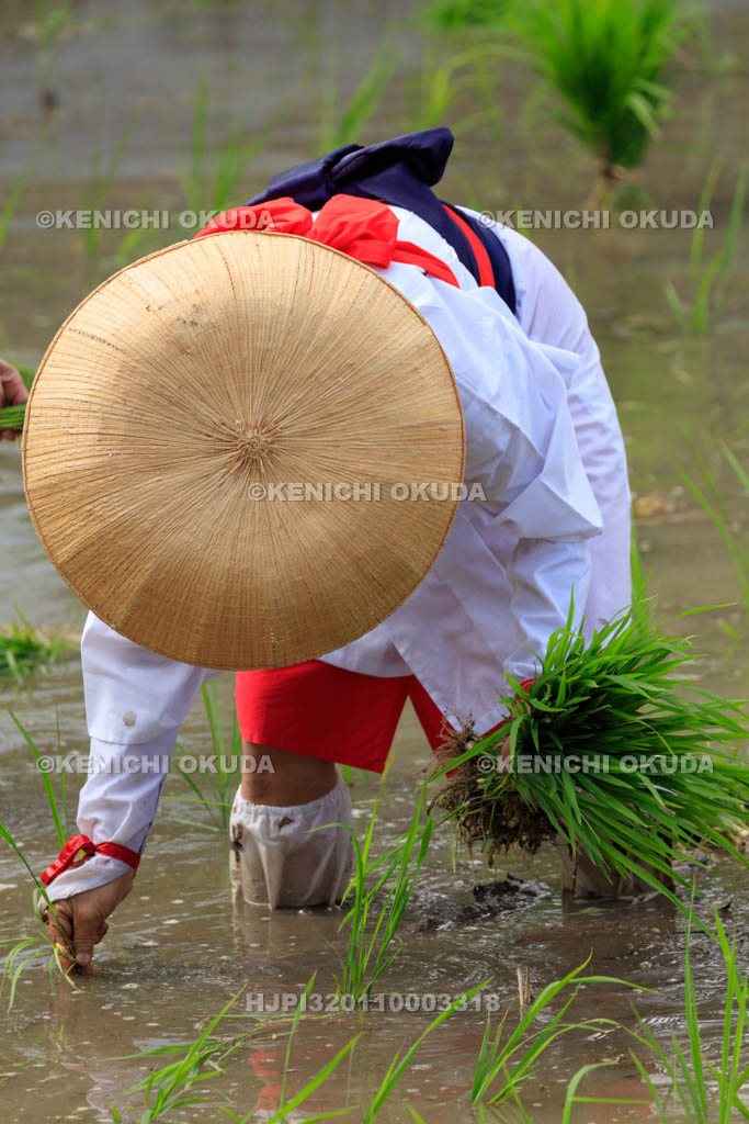 大阪府　住吉大社　御田植神事の替植女
