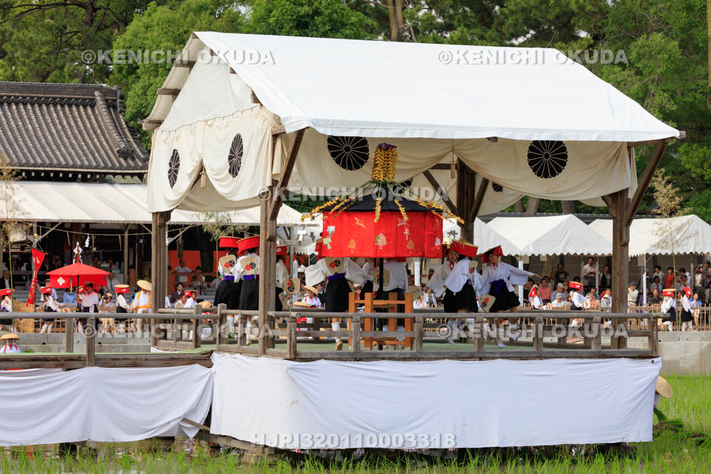 大阪府　住吉大社　御田植神事の住吉踊