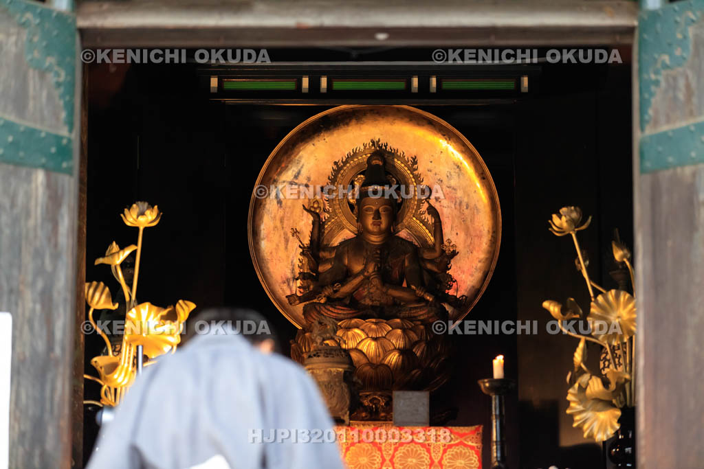 大阪府　愛染祭り　多宝塔の参拝者と大日大勝金剛尊