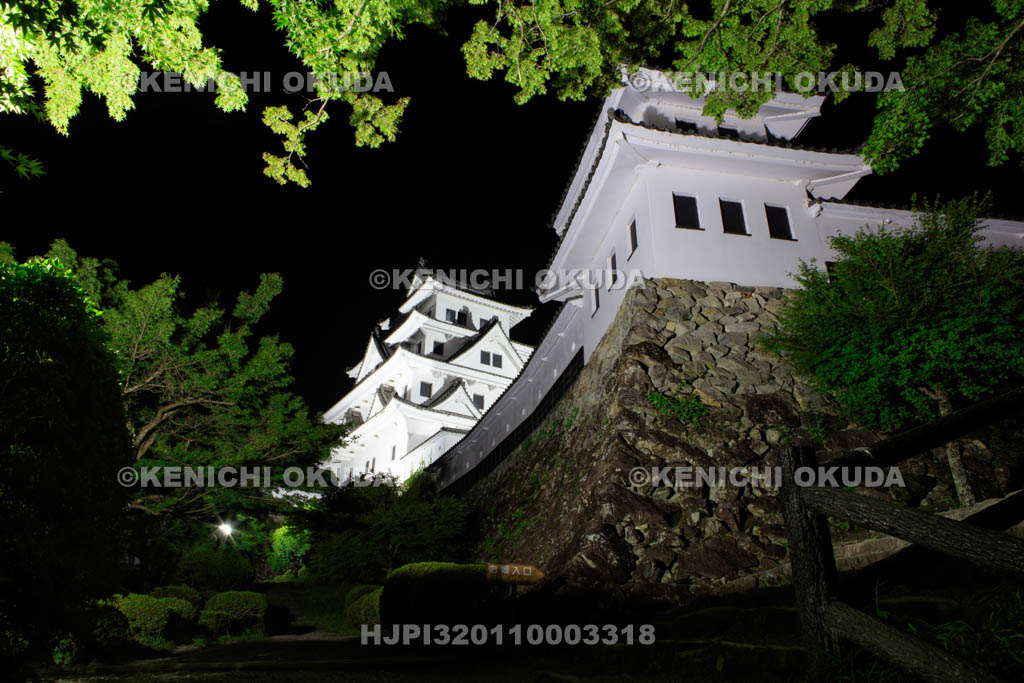 岐阜県　郡上八幡城