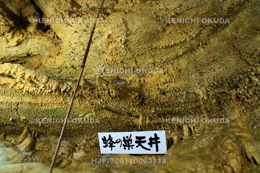 岐阜県　大滝鍾乳洞の洞内　蜂の巣天井
