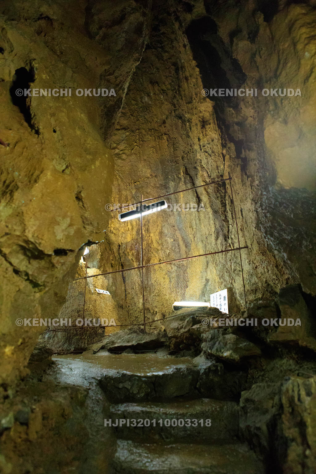 岐阜県　大滝鍾乳洞の洞内　栗のイガ付近