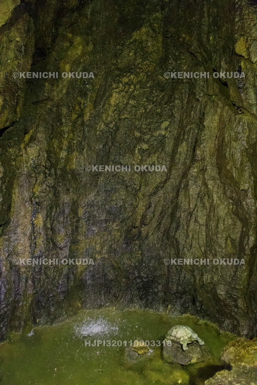 岐阜県　大滝鍾乳洞の洞内　神秘の大滝