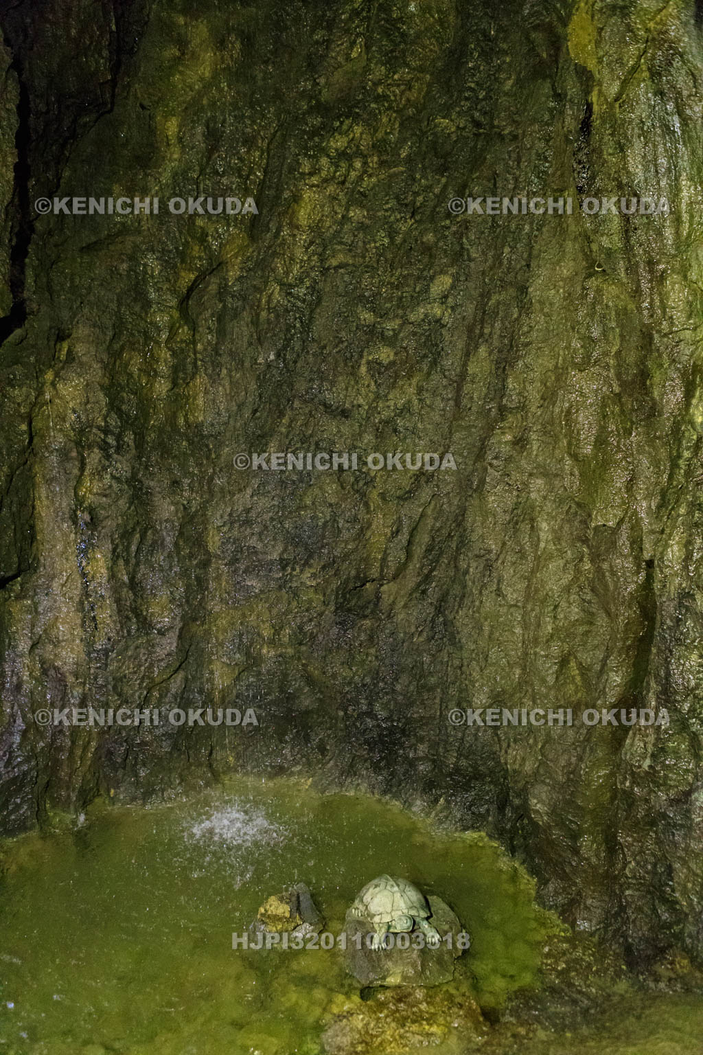 岐阜県　大滝鍾乳洞の洞内　神秘の大滝