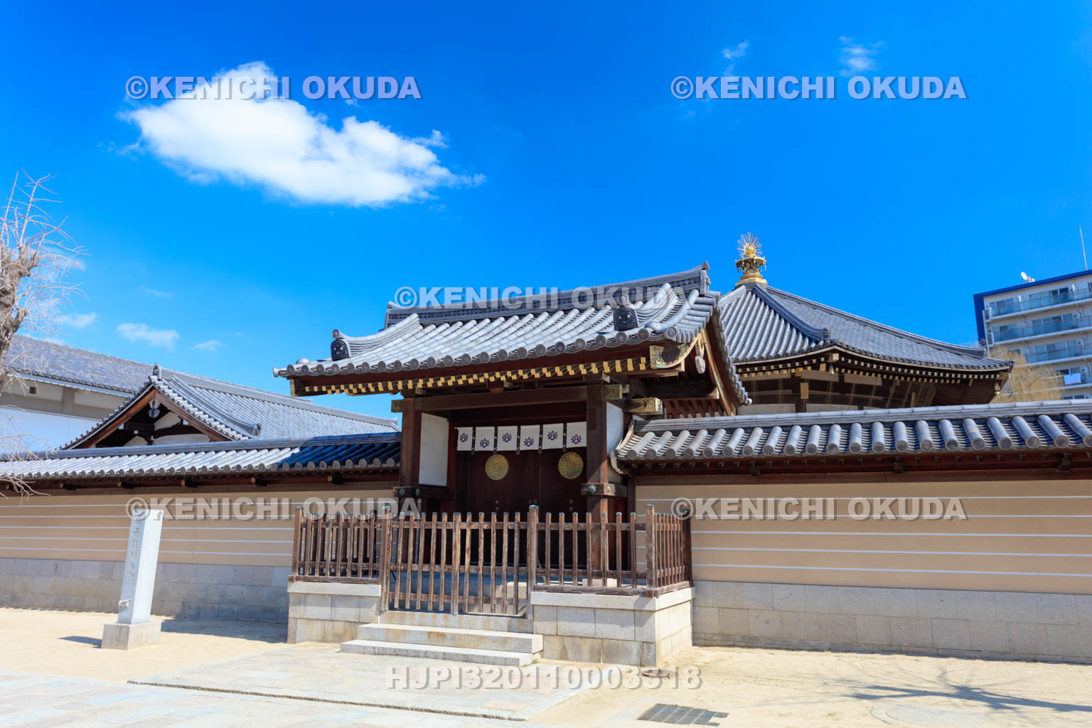 大阪府　四天王寺　太子殿猫の門