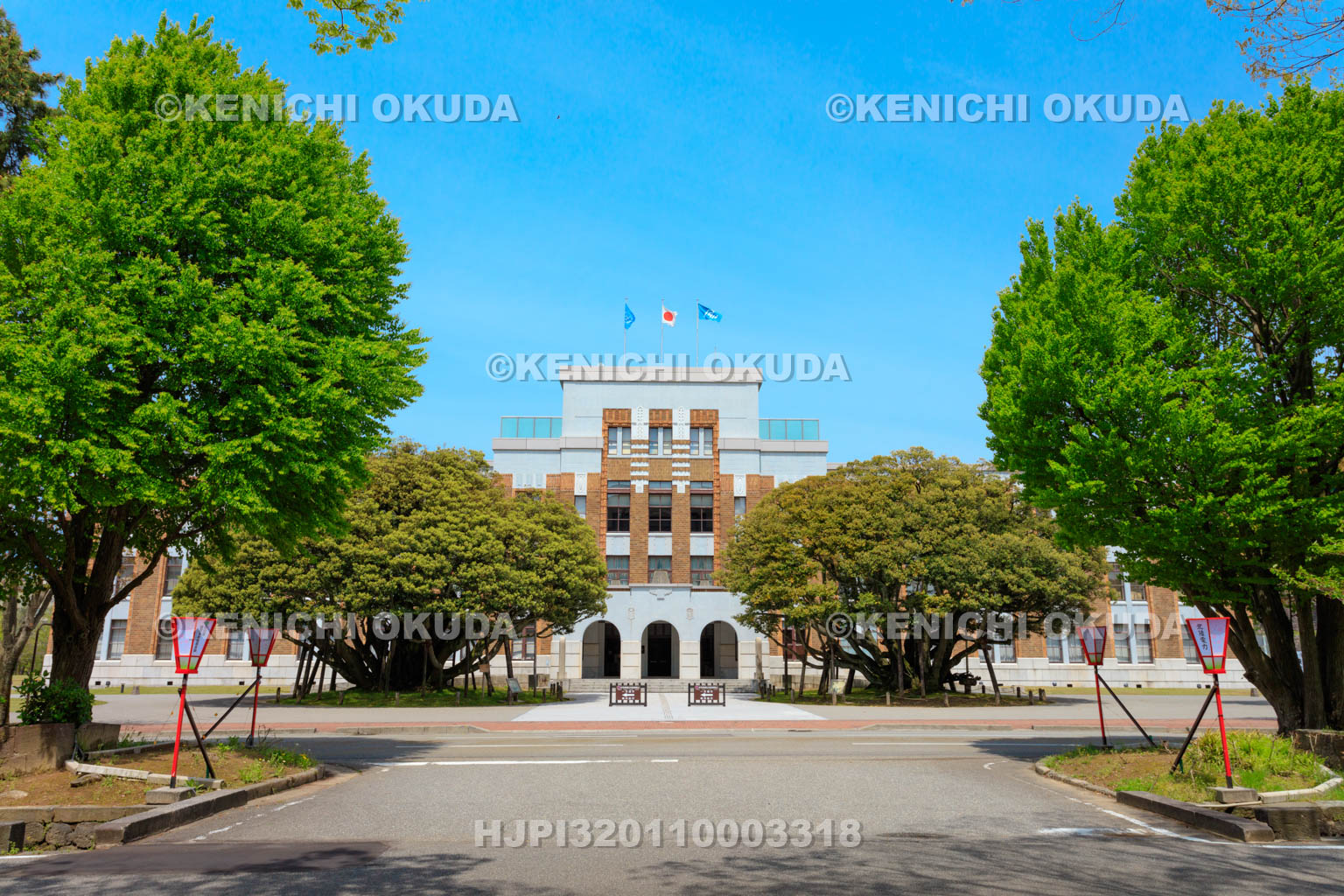 石川県　しいのき迎賓館　堂形のシイノキ