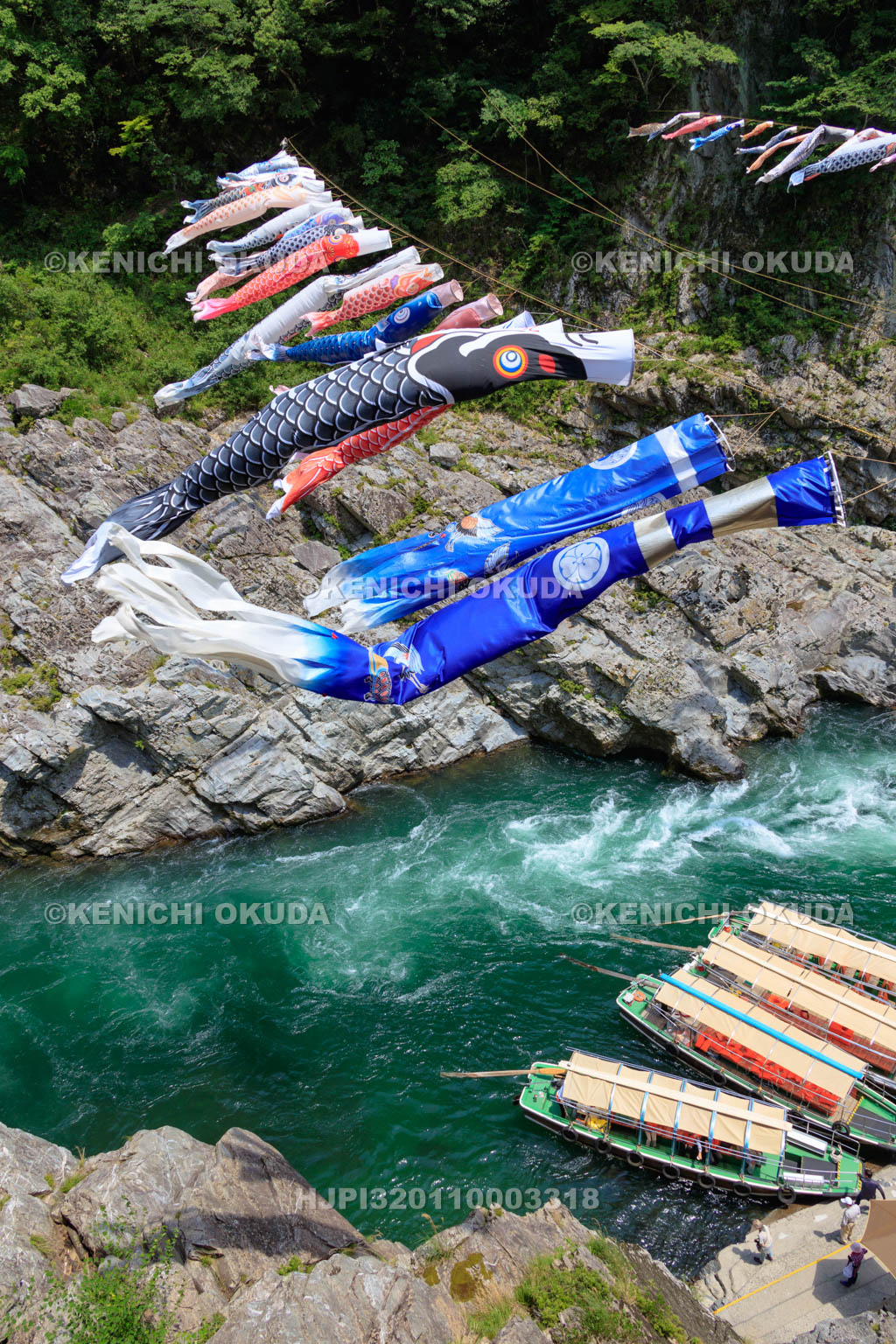 徳島県　大歩危峡と鯉のぼり