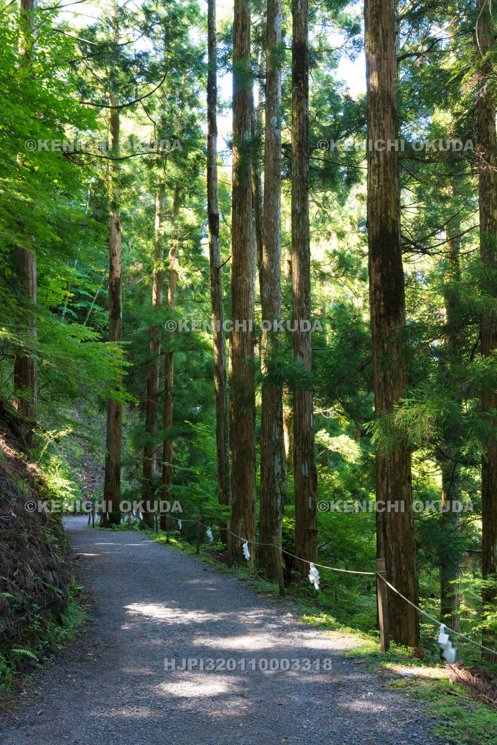 奈良県　玉置神社の参道