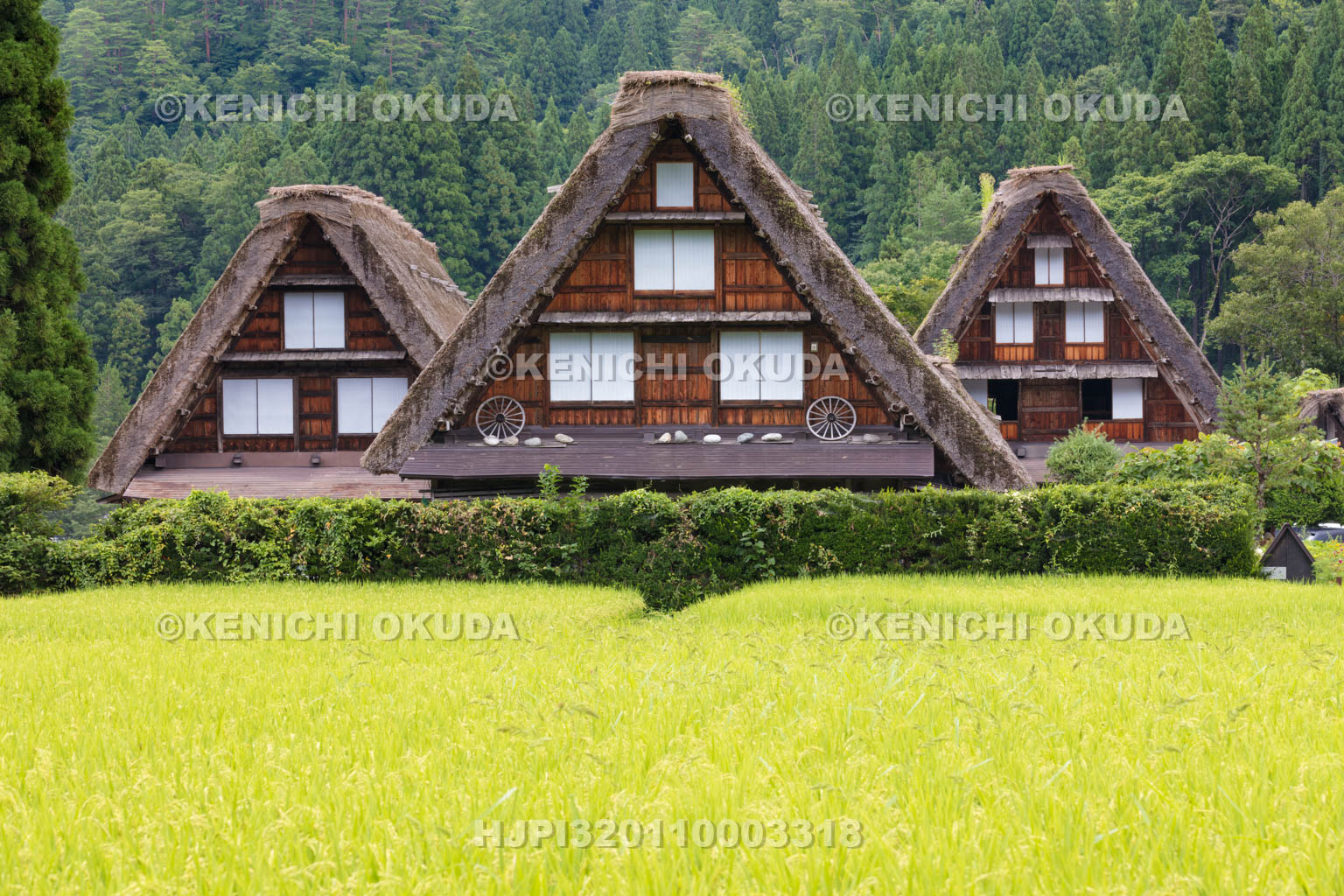 岐阜県　白川郷の合掌造り集落