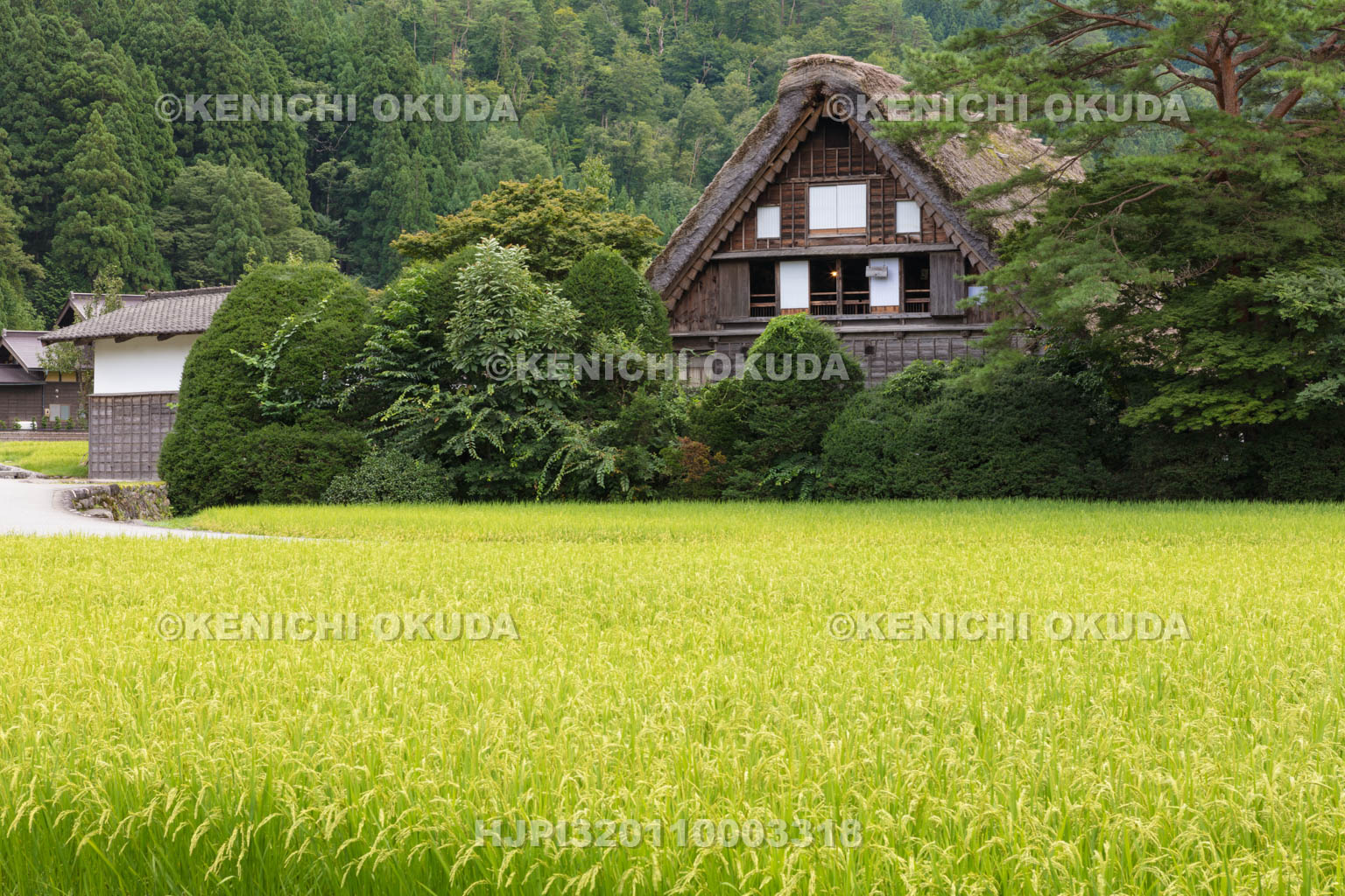 岐阜県　白川郷の合掌造り集落
