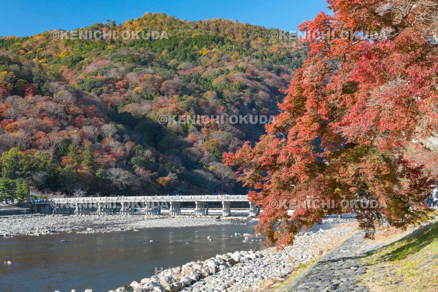 京都府　紅葉の渡月橋